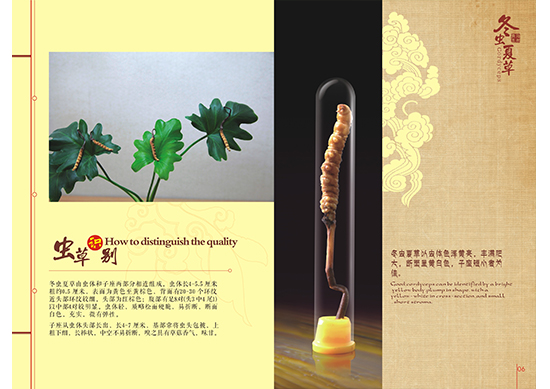 &#20843;&#25106;&#20307;&#32946;&#40;&#20013;&#22269;&#41;&#23448;&#26041;&#32593;&#31449;&#45;&#30331;&#24405;&#20837;&#21475;