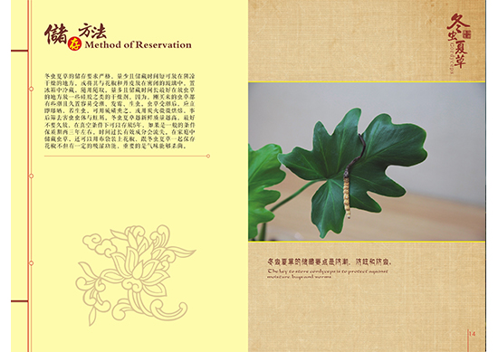 &#20843;&#25106;&#20307;&#32946;&#40;&#20013;&#22269;&#41;&#23448;&#26041;&#32593;&#31449;&#45;&#30331;&#24405;&#20837;&#21475;